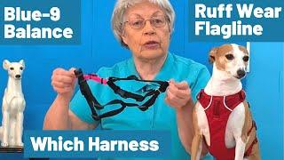 The Ruffwear Flagline Harness VS Blue-9 Balance Harness: Which Is Better For Your Dog