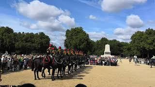 The King's Troop Royal Horse Artillery at the Change of the Lifeguard, July 2019