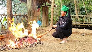 Harvest, Gardening, The Poor Life of a Single Girl - Hoàng Thị Thơm