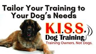 How to Tailor Your Training to Your Unique Dog With Expert Trainer Mike Deathe