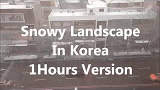 Traveling Korea, Snowy Landscape In KOrea, 1Hour version(1시간의 눈 오는 풍경)