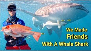 Fishing in Exmouth Part 1, 5⭐️ Table Fish, And we make friends with a Whale Shark Ep.39 Blissniques