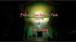 POHON TEMBESUK TUA ️️️ SMPN 4 SINTANG ️