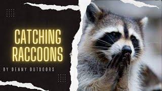 How to make a simple and effective raccoon set -- Denny Outdoors