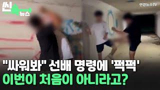 [씬속뉴스] "싸워봐" 선배 명령에 '퍽퍽'…이번이 처음이 아니라고? / 연합뉴스TV (YonhapnewsTV)