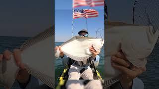 Summer Flounder catch and cook #jigfishing #fishing #flounder