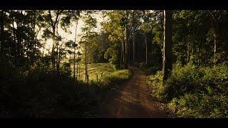 HOME | Our Darling Downs backyard, Queensland