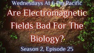 Gardens The Untold Story: Are Electromagnetic Fields Bad For The Biology?