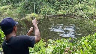 MANCING DI RAWA TENGAH HUTAN BENAR-BENAR PESTA SAMBARAN GABUS MONSTER MAS BROO..!!