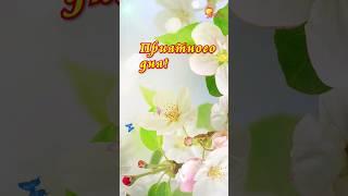 Хорошего дня! Солнечного настроения.
