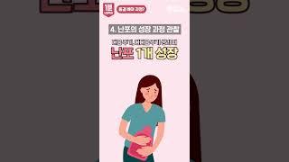 5일 배양? 동결배아 이식 과정ㅣ#shorts
