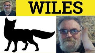  Wiles Meaning - Wily Examples - Wiles Definition - Describing People - Wile Wiles Wily