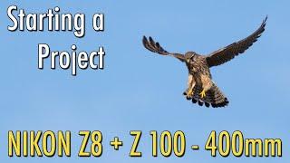 Photographing Kestrels with Nikon Z8 + Z 100-400mm - Beginning My Wildlife Photography Project