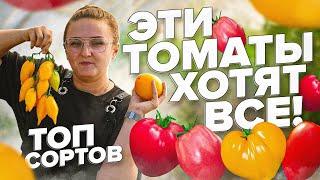 ТОП ТОМАТОВ от #СеменаАлтая. ЦЫПОЧКА, НАСТЕНЬКА, КУЛЕМА, СТЕРЛЯДЬ, ЙЕТИНА МАТЬ и другие