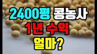 2400평 논콩농사 1년 수익 이대로 괜찮을까?