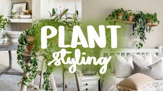 How to Create Beautiful Plant Spaces | planterior design tips