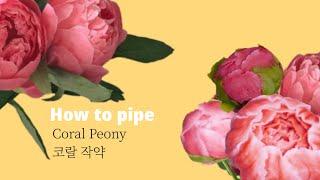 앙금플라워 코랄작약 꽃짜기 Coral Peony flower piping technique