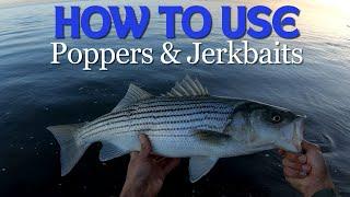 Catch Striped Bass from Shore | Topwater Poppers & Jerkbait Tips (SF Bay)