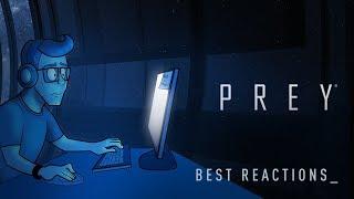 Best Reactions to Prey