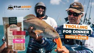 Trolling Action + Spice Battle | Which is the BEST Way to Cook Coral Trout? [CATCH&COOK]