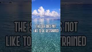 The sea #quotes #techquotes #sea #shorts