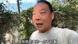 现在大环境不好，老公还要在农村创业开粉条厂，今天粉刷墙大变样