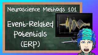 Event-Related Potentials (ERP) explained! | Neuroscience Methods 101