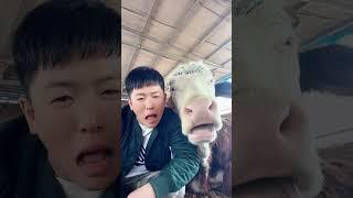 Funny video!  best comedy video shorts! chew! chew! #shortsvideo #funny #comedy #highlight #trend