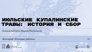 «Июльские купалинские травы: история и сбор». Лекция биолога Марии Поляковой