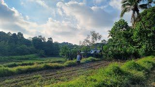 The mountain is my market cooking "SINIGANG NA BANGUS SA MANGGA"