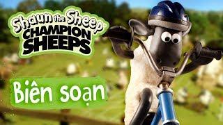 Biên tập | Tập đầy đủ | Championsheeps | Những Chú Cừu Thông Minh [Shaun the Sheep]