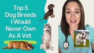 Top 5 Dog Breeds I would NOT Own As A Veterinarian