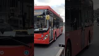 Auckland City Link bus bright red from Wynyard to KRoad #kuyabogpilotzn #auckland #bus #spotting