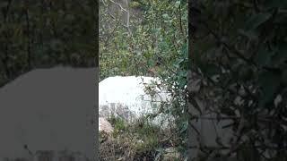 ПОДВОДНЫЕ СОКРОВИЩА ИССЫК-КУЛЯ И КОЛПАКОВСКИЙ#загадкиистории zagadkiistorii #reflectionsonhistory