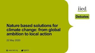 Nature-based solutions for climate change: from global ambition to local action