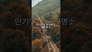 인기있는 부산명소 베스트4