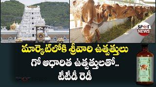 TTD Planning to Produce Cosmetics and More From Cow Based Products | Spot News