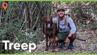 Lugar perfecto para ir en familia :Treep - Ciudad Colón, Costa Rica