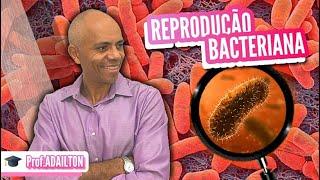 REPRODUÇÃO BACTERIANA| Biologia Plena