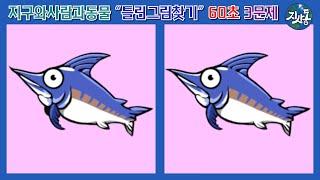 [The Hidden Catch] 틀린그림찾기 Ep63 #지사동 #동물 60초 동안 5곳 찾기 #두뇌운동 #집중력훈련 #동물공부