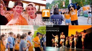 The Road To Rocky Top | University of Tennessee, Knoxville | New Vol Experience |