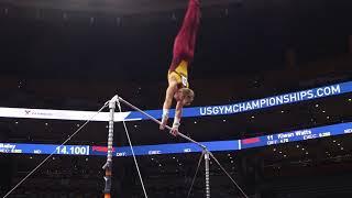 Shane Wiskus - High Bar - 2018 U.S. Gymnastics Championships - Senior Men Day 1