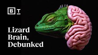 The brain myth that won’t die | Lisa Feldman Barrett