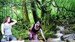 Deep Forest Survival: Girls Construct Shelter for Living Off the Grid - Cooking / Tila Survival