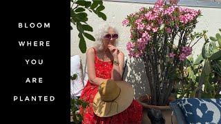 How I Discovered Happiness | Sandra Hart
