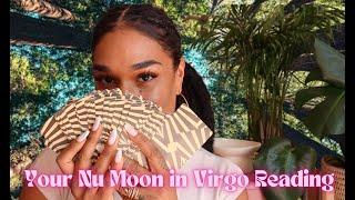 Fortune Chronicles I The Nu Moon in Virgo Wants You to Stop Playing With Your Life! Sept 2nd - 8th