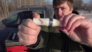 Новый манок, учеба, РОЗЫГРЫШ манка
