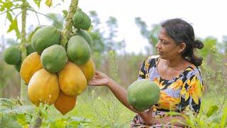 Green Papaya| Delicious vegetarian food cooked from freshly harvested crops| Mali Cooking