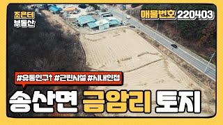 토지 0403 ) 당진시 송산면 금암리 토지 매매 / 시내 초 인접! / 바로옆 아파트 단지로 유동인구 보장 / 근린시설 추천