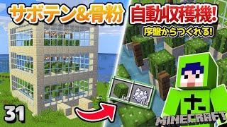 【31】超簡単な自動サボテン＆骨粉無限装置の作り方！【初心者向けのマインクラフト】